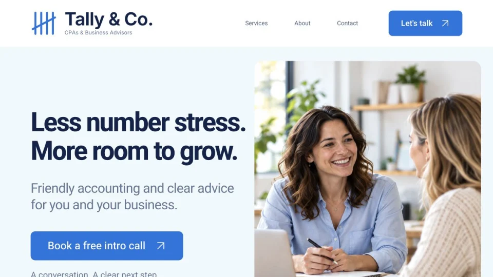 Tally and Co. fictional CPA website concept with blue typography and an illustrative advisor meeting